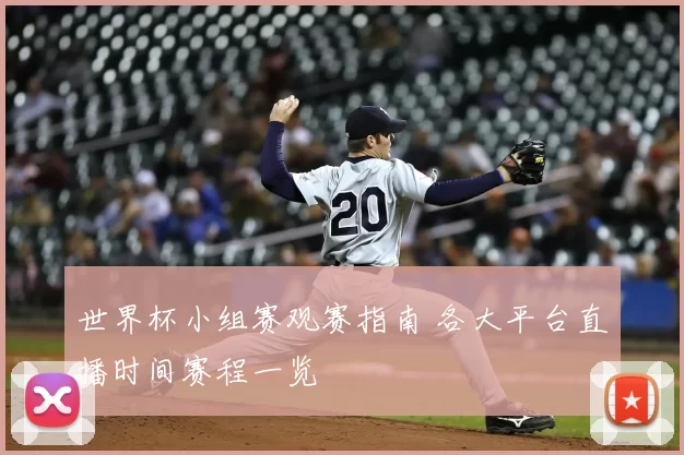 世界杯小组赛观赛指南 各大平台直播时间赛程一览