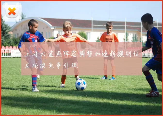 上海大鲨鱼阵容调整加速新援到位后轮换竞争升级