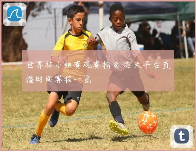 世界杯小组赛观赛指南 各大平台直播时间赛程一览