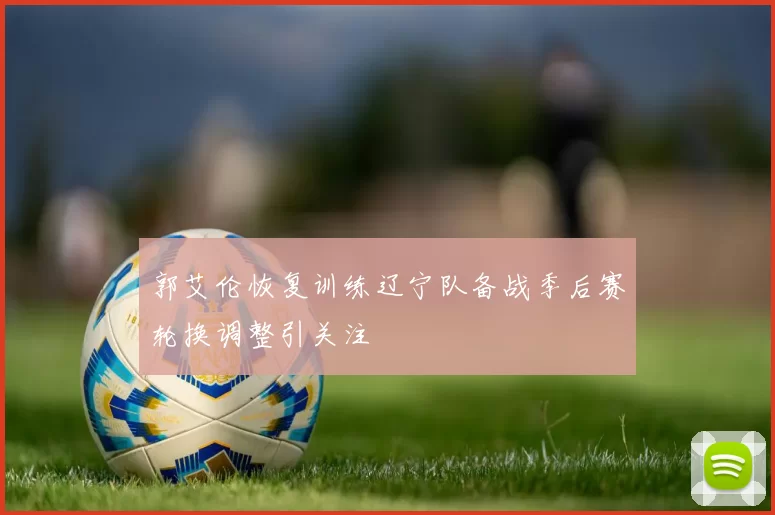 郭艾伦恢复训练辽宁队备战季后赛轮换调整引关注