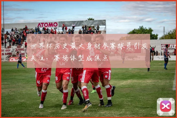 世界杯历史最大身材参赛球员引发关注,赛场体型成焦点