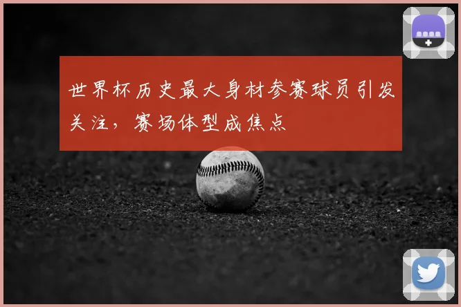 世界杯历史最大身材参赛球员引发关注,赛场体型成焦点