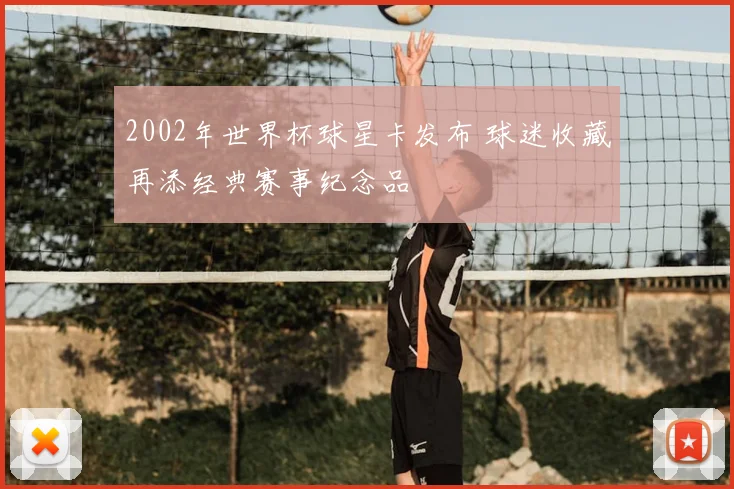 2002年世界杯球星卡发布 球迷收藏再添经典赛事纪念品