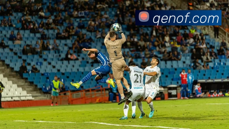 博亚体育app官网入口服务体系